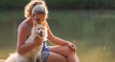 Dzień Psa: o czym warto pamiętać, by pies był zdrowy i szczęśliwy?