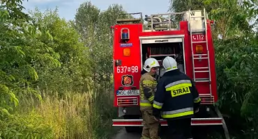 Czarny dym nad gliniankami i tarasujący drogę konar - pracowity wieczór strażaków z Wólki Smolanej