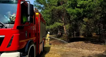 Ogień w puszczańskich lasach - szybka akcja strażaków w Famułkach Królewskich