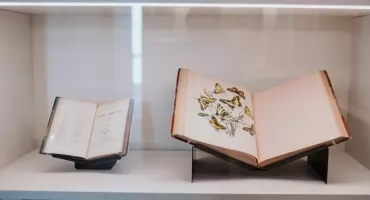 George Sand w kalejdoskopie życia i sztuki. Cykl oprowadzań i warsztatów w Żelazowej Woli