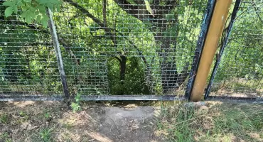Anarchia pod ogólniakiem – znamy stanowisko dyrektora [Twój Temat]